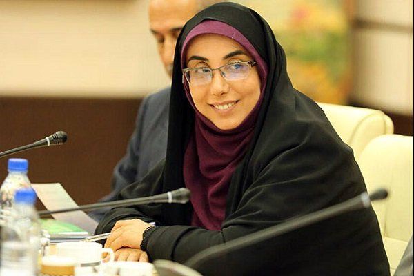نماینده جنوب استان بوشهر در مجلس عازم بروکسل شد
