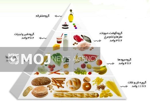 سالانه بیش از ۲ میلیون نفر در دنیا به خاطر مواد غذایی ناسالم جان خود را از دست میدهند