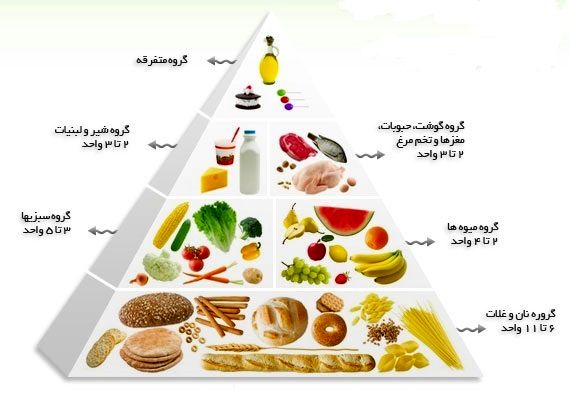 سالانه بیش از ۲ میلیون نفر در دنیا به خاطر مواد غذایی ناسالم جان خود را از دست میدهند