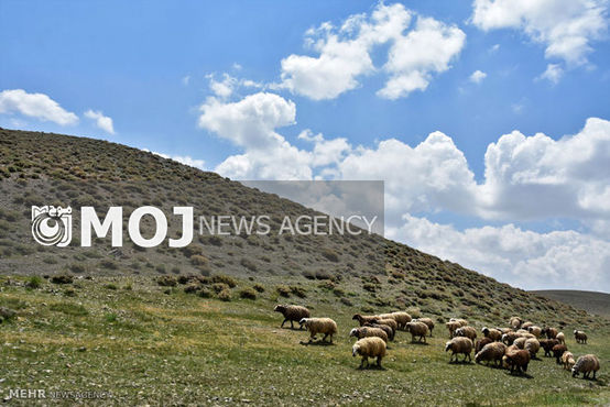 بازپس گیری ۲۱۱ هزار مترمربع از اراضی ملی