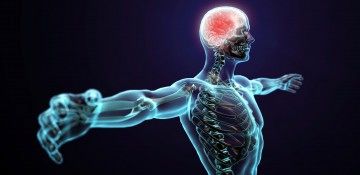 مؤلفههای یک ورزش خوب از لحاظ علمی/ تضمین کننده بقای سلامتی را جدی بگیرید