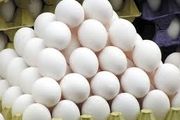 قیمت تخم مرغ ۲.۸ درصد افزایش داشت