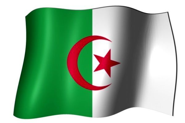 هواپیمای نظامی در الجزایر سقوط کرد