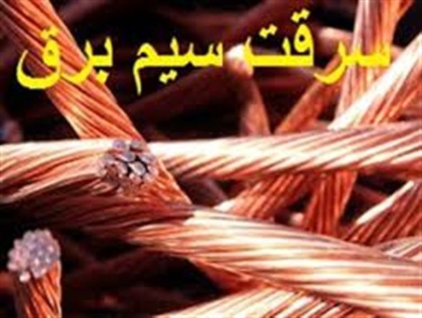 سرقت کابل برق علت آتشسوزی پارک بزچفت بابل بوده است