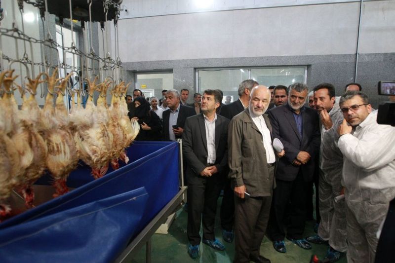 افتتاح مجتمع زنجیره ای تولید گوشت مرغ در اصفهان