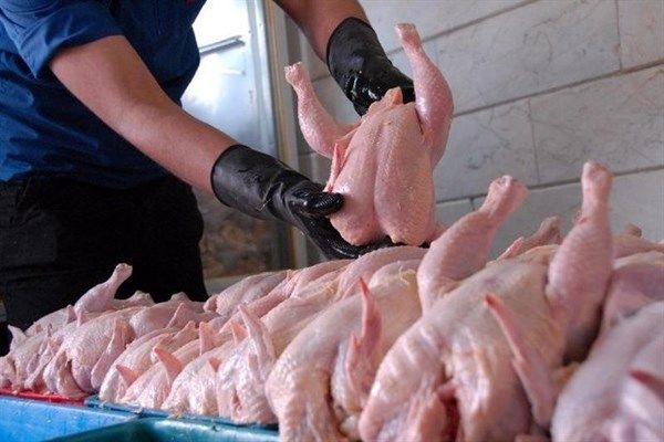 توزیع مرغ منجمد با قیمت 5700 در کشور/ پرتقال خارجی 3900 تومان در ترهبار