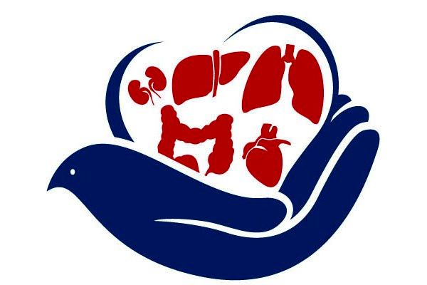 اعضای بدن یک بیمار مرگ مغزی در قم اهدا شد