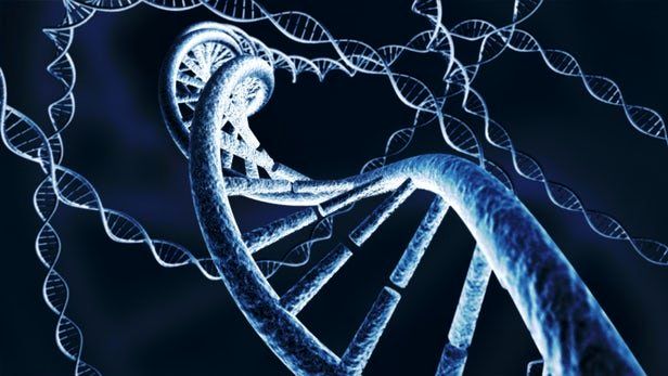 سرمایهگذاری 65 میلیون دلاری دارپا در توسعه فناوریهای ویرایش ژن