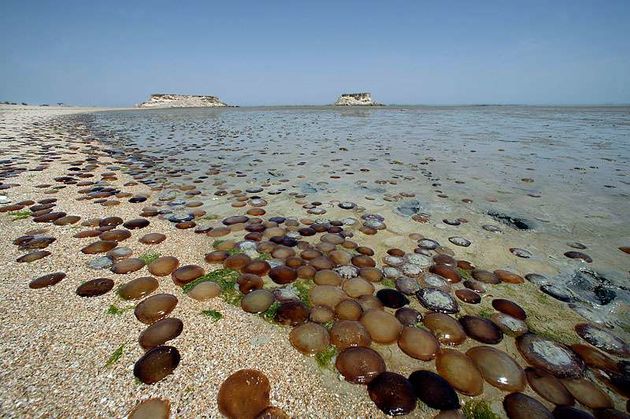 هنگام، جزیره ای با درخشش نقره گون