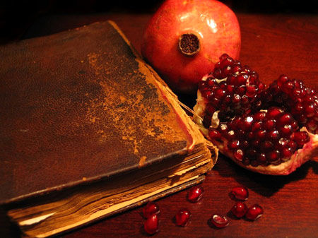 برگزاری ویژه برنامه شب یلدا در جوار امامزاده سلیمان(ع) نطنز