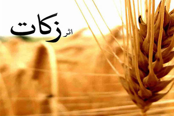 کرمانشاه در پرداخت زکات جزو ۱۰ استان برتر کشور است