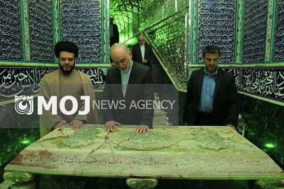 کارکنان سازمان انرژی اتمی با شهدا تجدید بیعت کردند