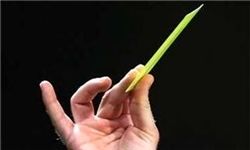 ترکیه خشنترین و فرانسه پائینتر از آلمان و انگلیس