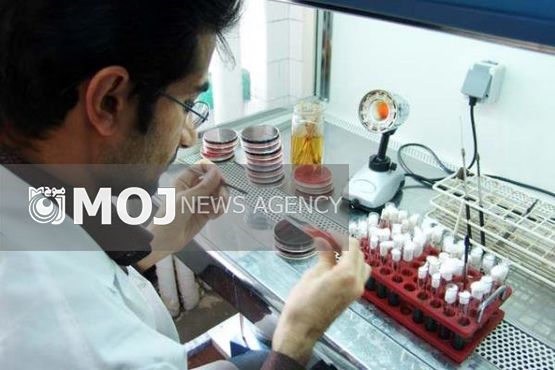 بیماری های منتقله از طریق روابط جنسی بررسی می شود