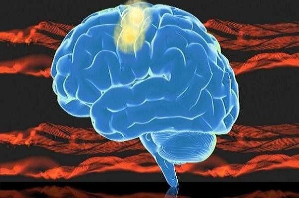 دسترسی به فیلم کلاسهای درسی حوزه علوم شناختی میسر شد