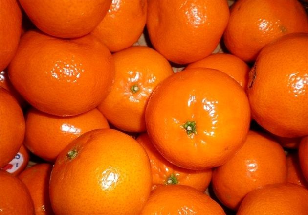 استقبال پاکستان از آزاد شدن واردات نارنگی این کشور به ایران