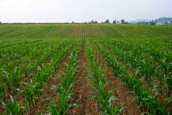 آماده باش گشتهای یگان حفاظت آذربایجان غربی در ایام تعطیلات نوروزی