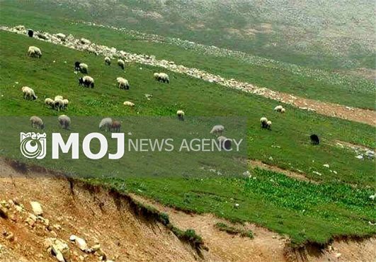 ایجاد شغل برای ساکنان عرصههای منابع طبیعی