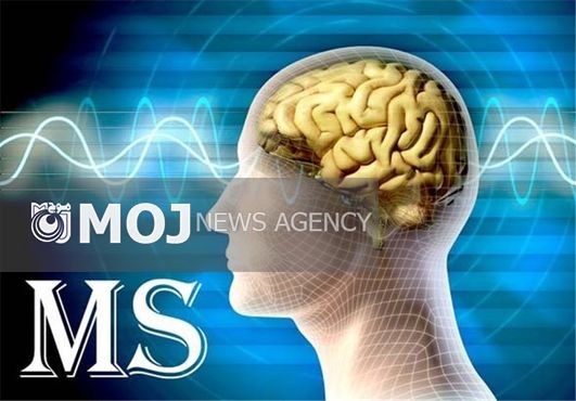 سرپرست دانشگاه تحصیلات تکمیلی صنعتی و فناوری پیشرفته منصوب شد