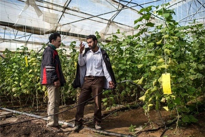 ۷۵۰ میلیارد تومان تسهیلات ارزان قیمت با سود ۴ درصد به سهامداران بخش کشاورزان
