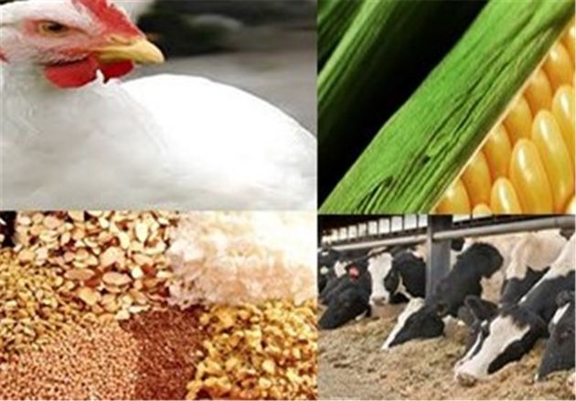 برگزاری شانزدهمین نمایشگاه بینالمللی صنعت دام و طیور در اصفهان