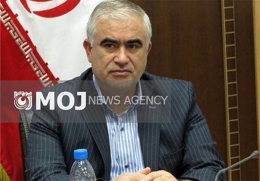 آماده تکمیل راههای ارتباطی میان ایران و افغانستان در خراسان جنوبی هستیم