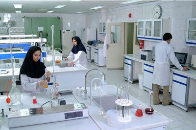 ارائه 110 خدمت به شرکتهای دانشبنیان از سوی معاونت علمی