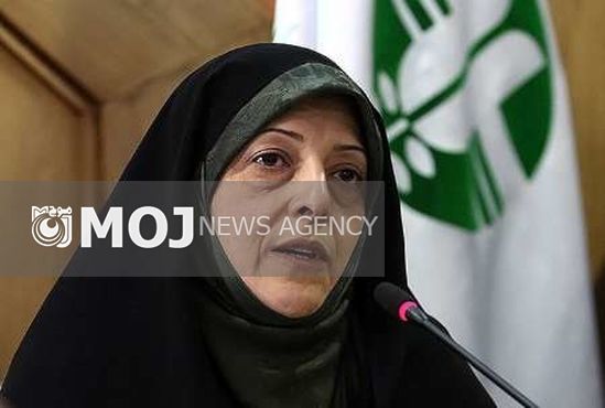 هواپیمای معصومه ابتکار نیمه مسیر به تهران بازگشت