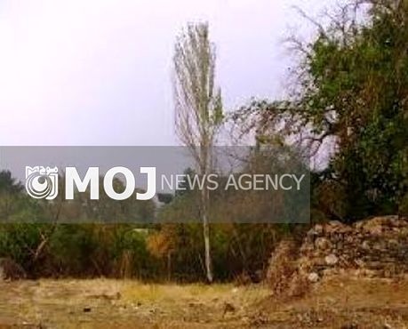 بیش از ۱۵۰ هکتار از زمینهای سراب قنبر به بوستان تبدیل میشود