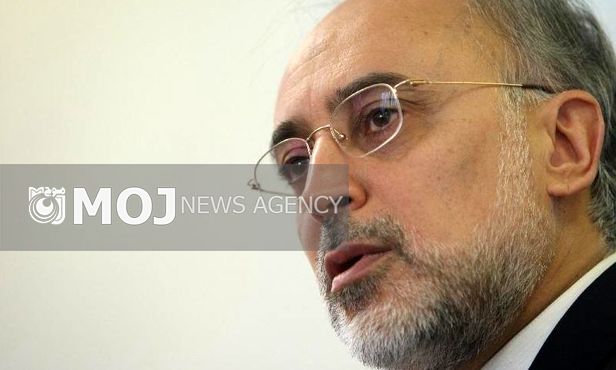 در بازطراحی راکتور اراک کارشناسان تمام امور را در دست دارند