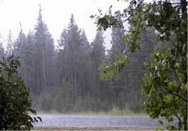 کاهش ۴۰ درصدی بارندگی در گنبدکاووس/روستاهای بخش داشلیبرون با "کم آبی" روبهرو هستند