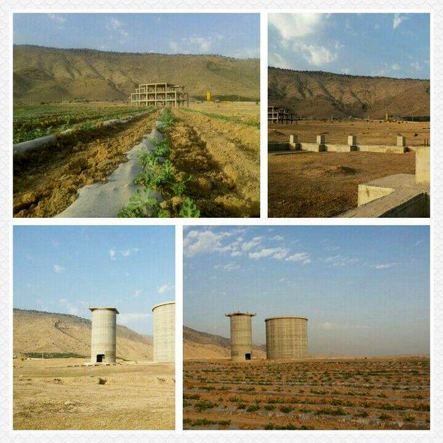 وقتی کارخانه سیمان سپوی دهدشت، هنداونه تولید میکند