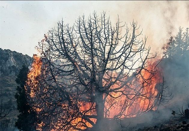 گرمای شدید هوا و سهلانگاری عامل انسانی بیشترین عامل آتش سوزی مناطق جنگلی
