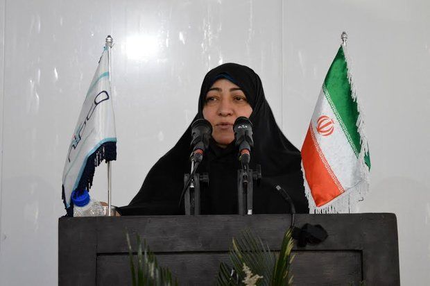 هفت حوزه برای فعالیت اقتصادی زنان در شهرکها تعریف کردهایم