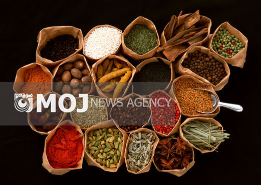 دستور وزیر برای اعمال سریع ملاحظات طرح ساماندهی عطاری ها