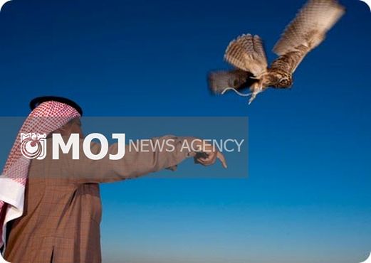 شکار پرنده یا انسان؛ قطری ها در افغانستان چه می کنند؟