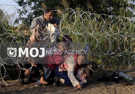 جایزه بهترین فیلمنامه جشنواره یونانی برای «هستی»