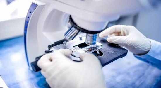 اختراعات جهانی در حوزه زیستفناوری رصد میشود