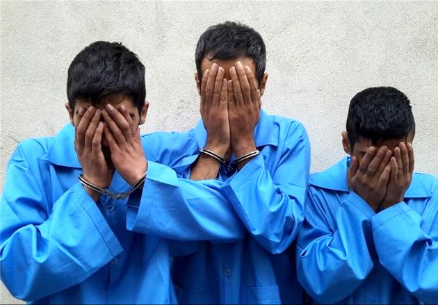 باند سارقان حرفه ای و سابقه دار با 42 فقره سرقت در ایذه منهدم شد