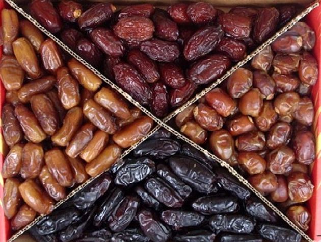 تکثیر خرمای غیرجنسی در ایران آغاز شد