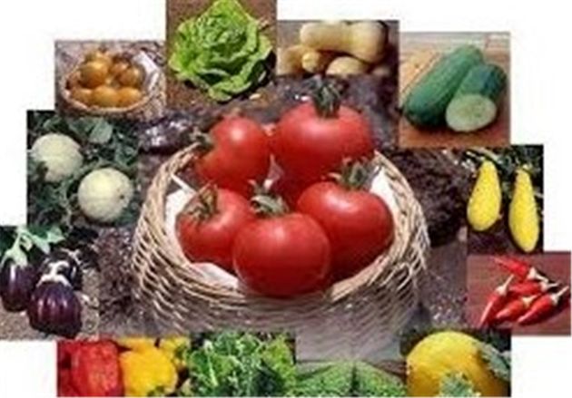 تورم ۲.۲۵ درصدی بخش تولید کشاورزی در سال ۹۴