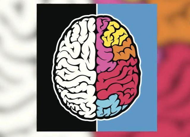 افراد خلاق فقط "راستمغز" نیستند