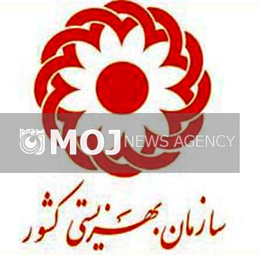 لرستان در زمینه ایجاد اشتغال و واگذاری مسکن به مددجویان از استانهای پیشرو است