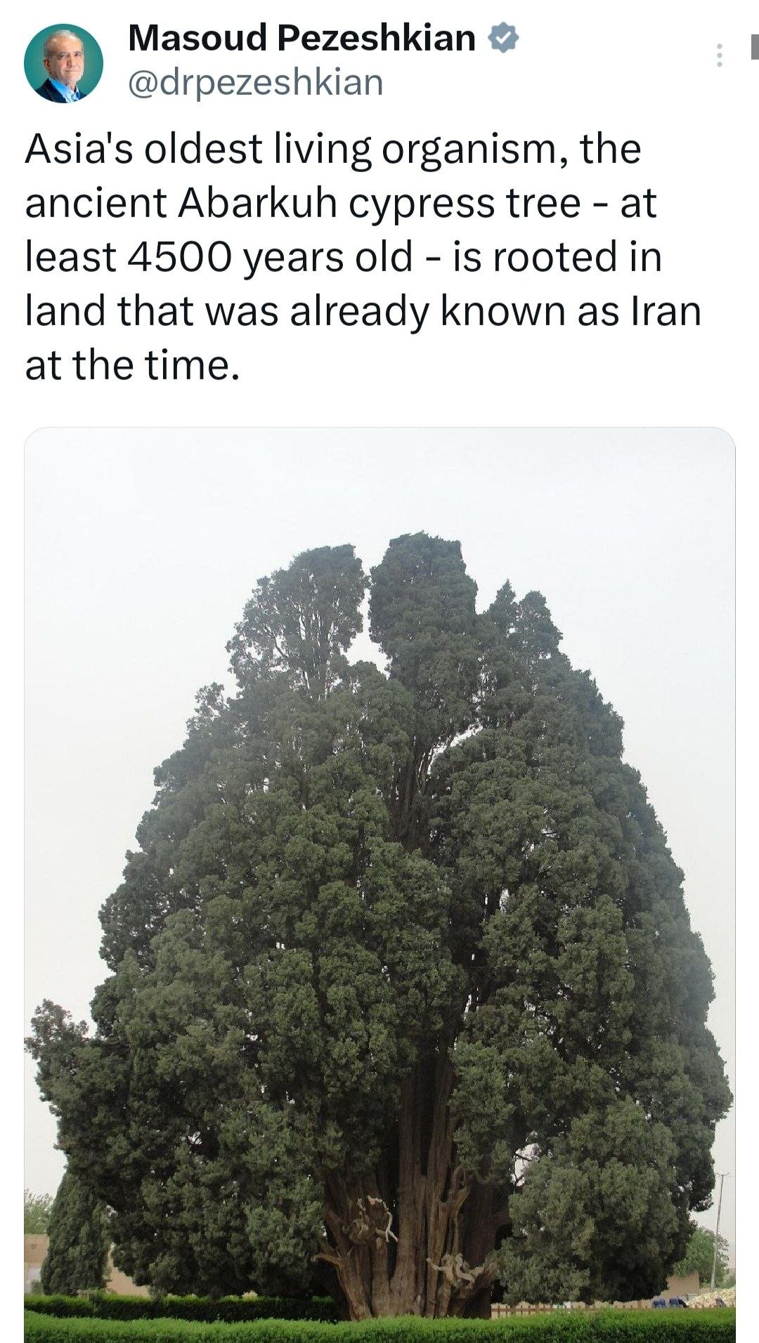 پزشکیان