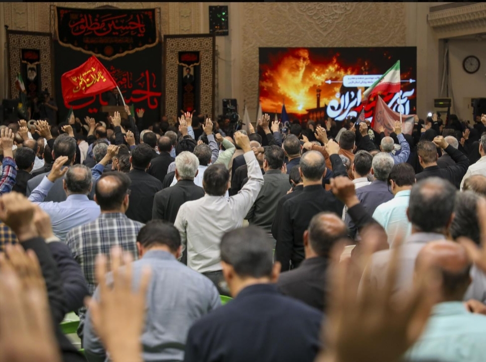 دانشگاه شیراز 