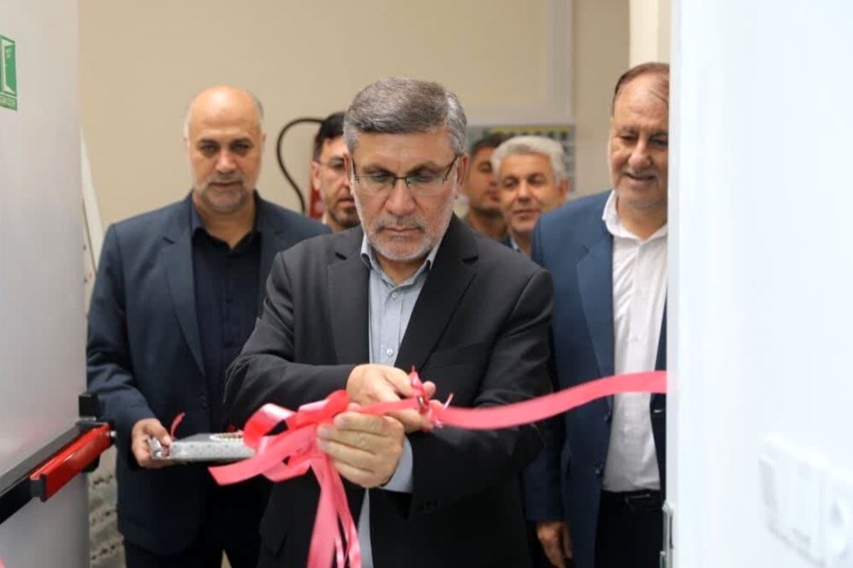 حسنی