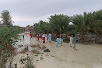 تداوم خدمات رایگان با جهاد دامپزشکی در مناطق سیل‌ زده سیستان و بلوچستان