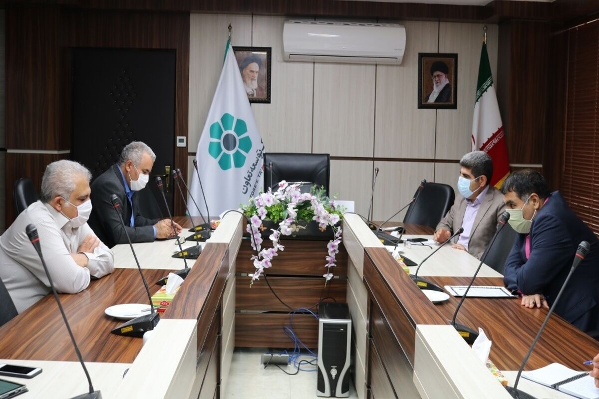 بانک توسعه تعاون