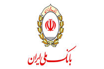 آمادگی کامل بانک ملی ایران برای تامین مالی صنایع مرتبط با پتروشیمی