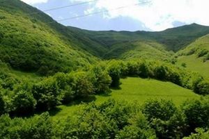 منابع طبیعی به تنهایی نمی‌تواند از طبیعت محافظت‌ کند